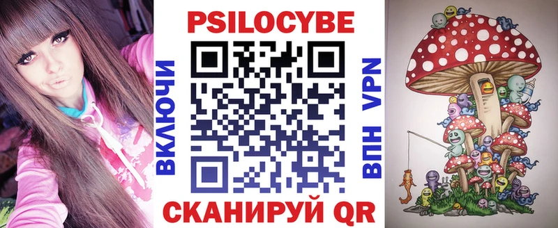 Купить закладки  Моздок  Галлюциногенные грибы Psilocybe 